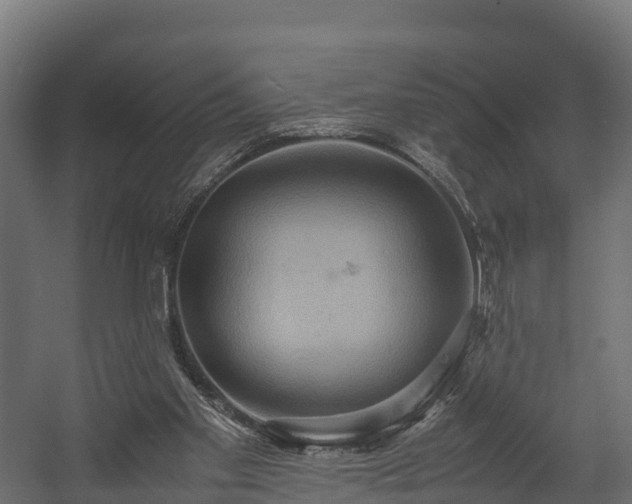 X0000058130109200509261311