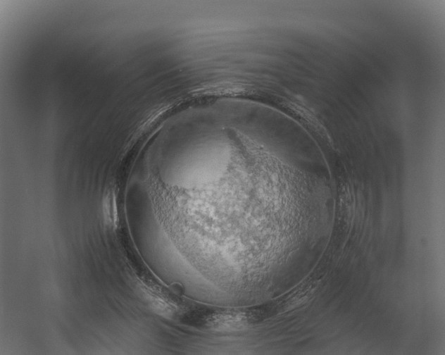 X0000058130110200509261311