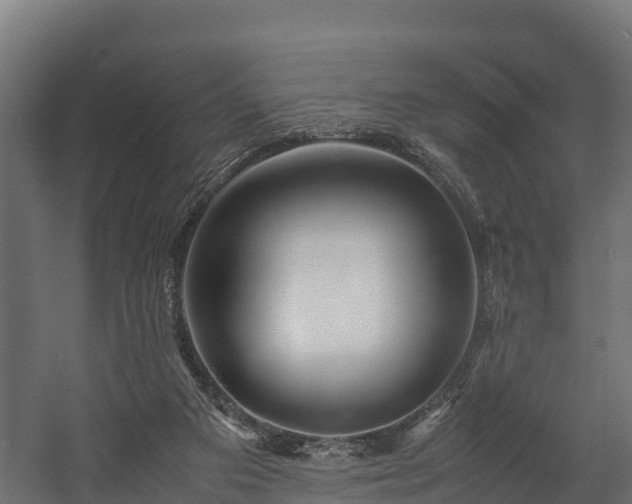 X0000058130113200509261311