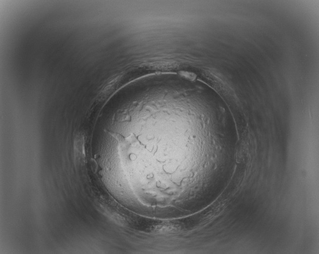 X0000058130115200509261311