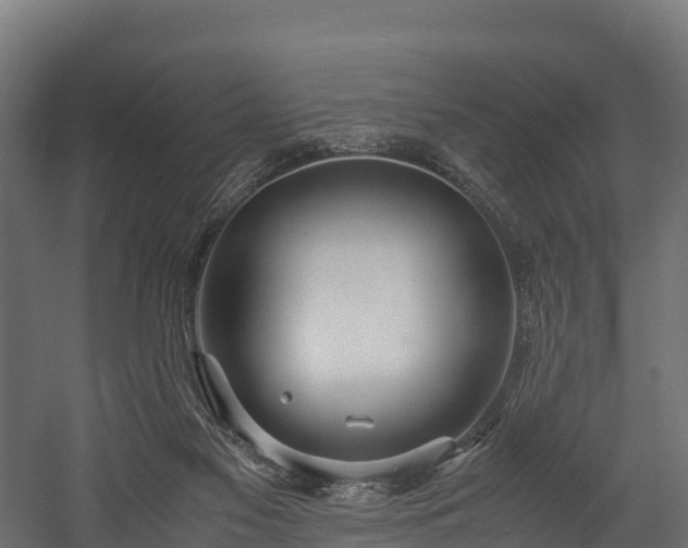 X0000058130117200509261311