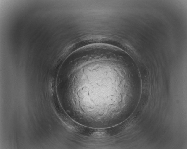 X0000058130119200509261311