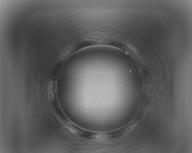 X0000058130121200509261310