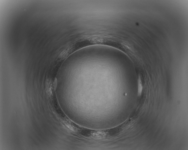 X0000058130125200509261310