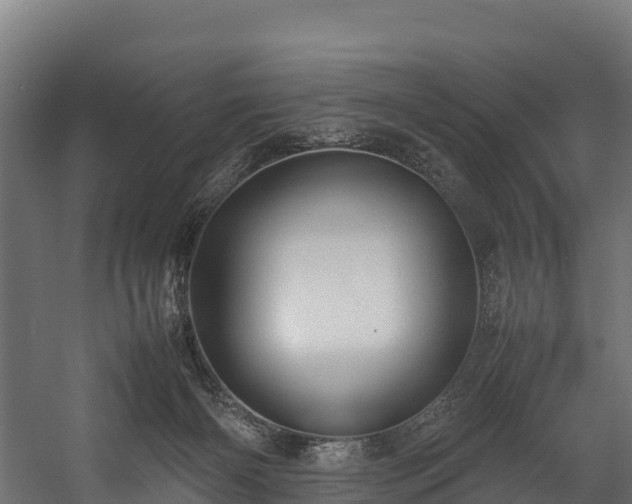 X0000058130126200509261310