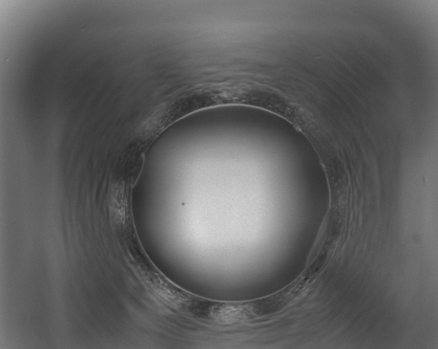 X0000058130129200509261310