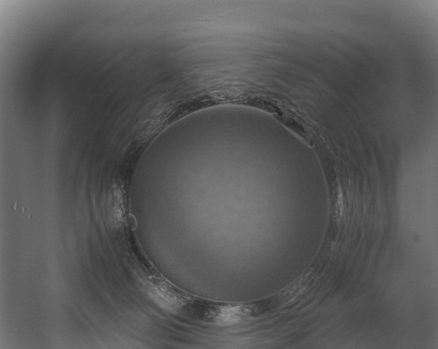 X0000058130130200509261310