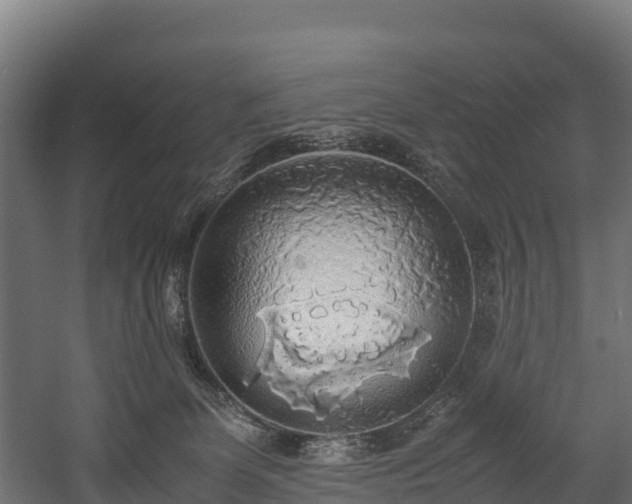 X0000058130131200509261310