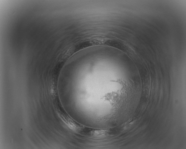 X0000058130134200509261310