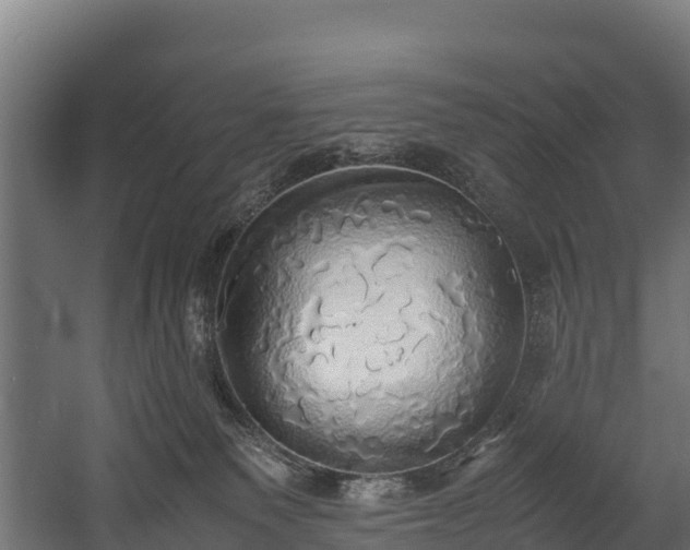 X0000058130135200509261310