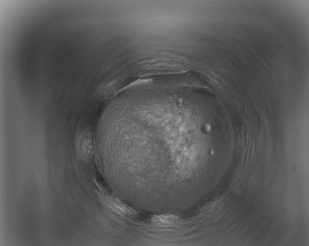 X0000058130137200509261310