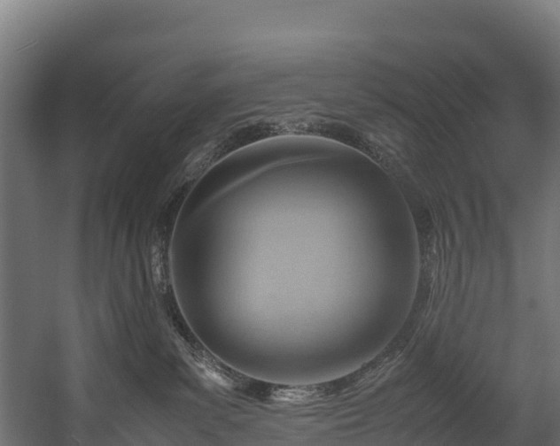 X0000058130139200509261310