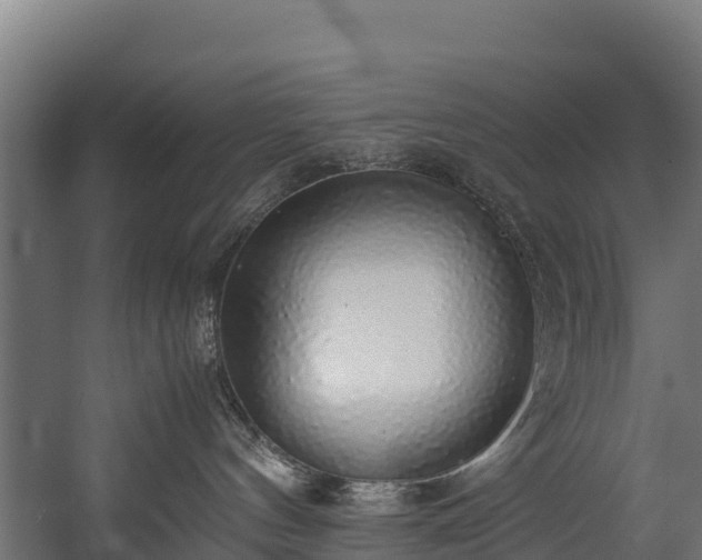 X0000058130144200509261310