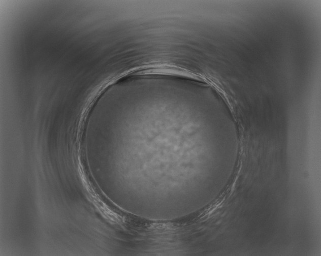 X0000058130145200509261309