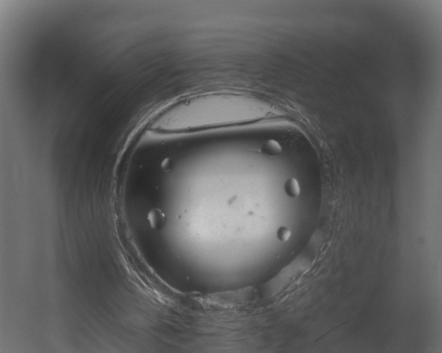 X0000058130146200509261309