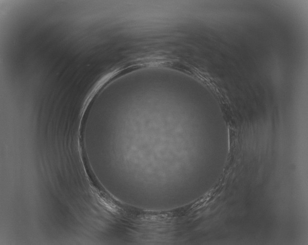 X0000058130147200509261309