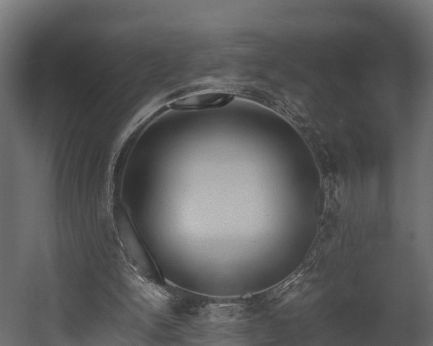 X0000058130150200509261309