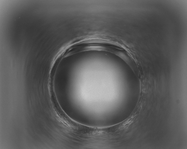 X0000058130152200509261309