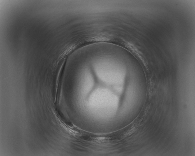 X0000058130153200509261309