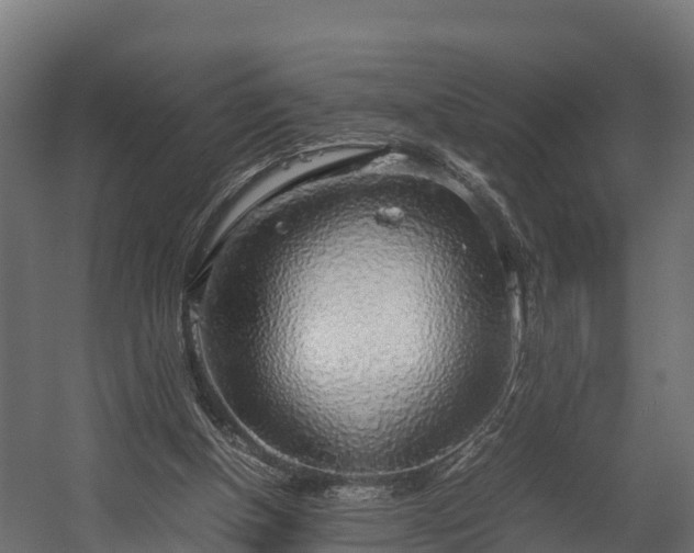 X0000058130154200509261309