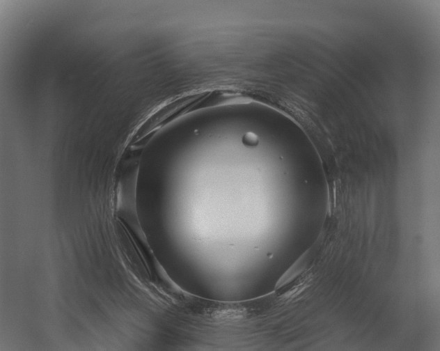 X0000058130156200509261309