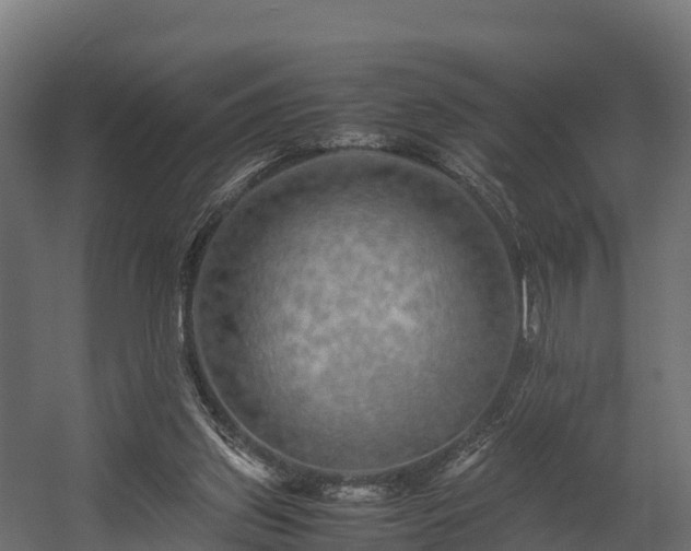 X0000058130157200509261309