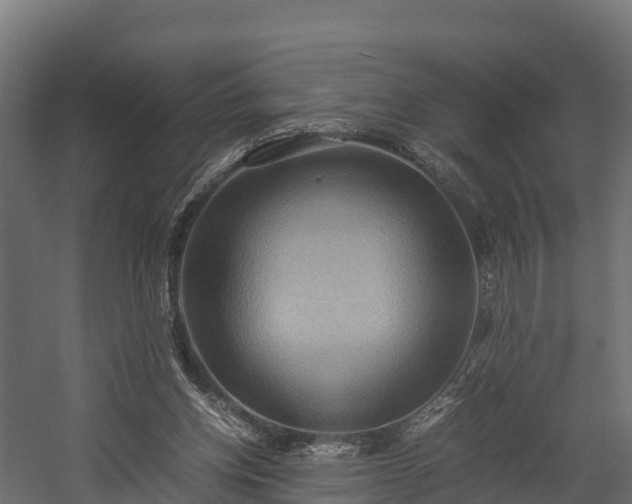 X0000058130158200509261309