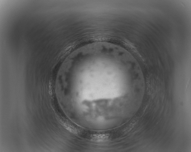 X0000058130161200509261310