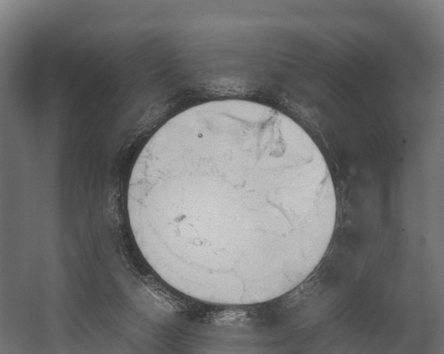 X0000058130162200509261310