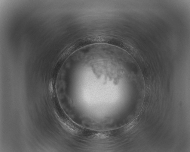 X0000058130166200509261310