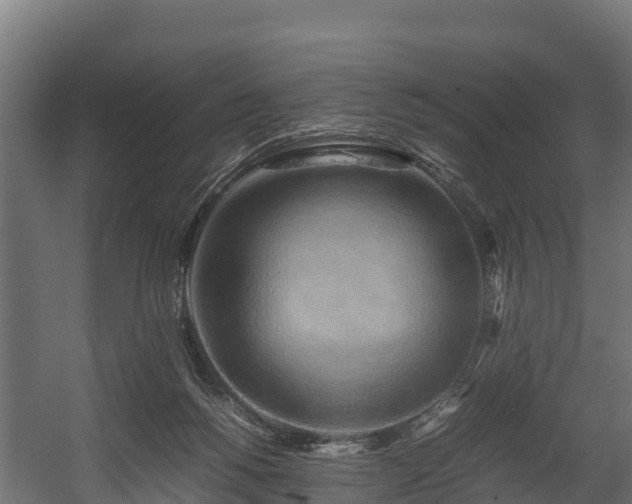 X0000058130168200509261310