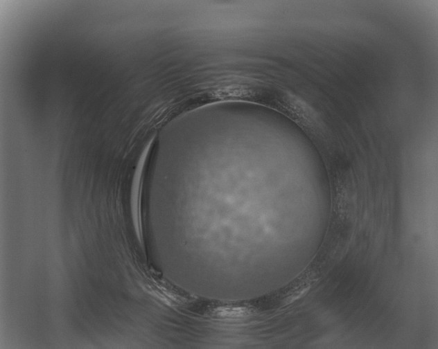 X0000058130169200509261310