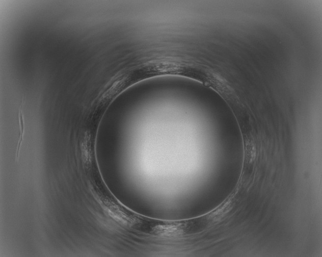 X0000058130170200509261310