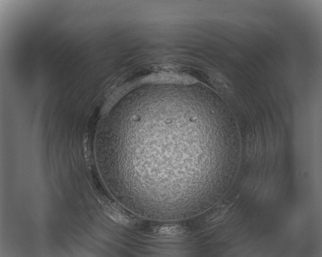 X0000058130173200509261310