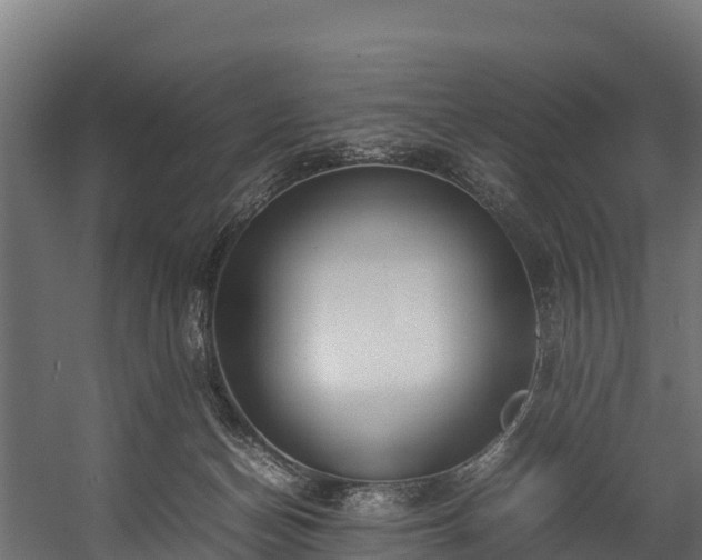 X0000058130174200509261310