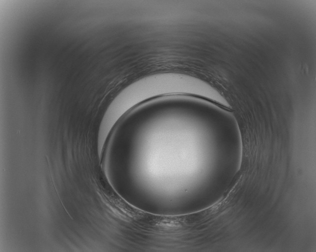 X0000058130175200509261310