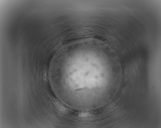 X0000058130177200509261310