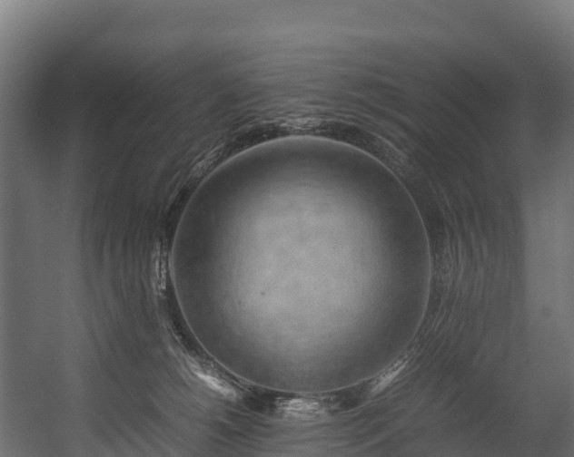 X0000058130180200509261310