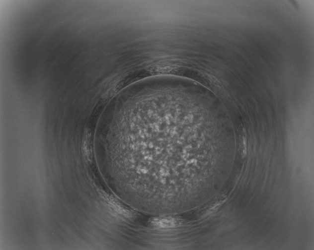 X0000058130181200509261310