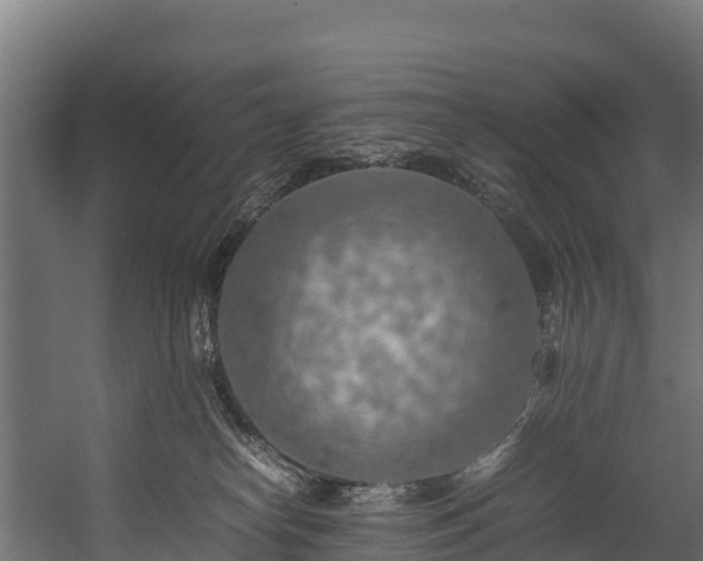 X0000058130182200509261310