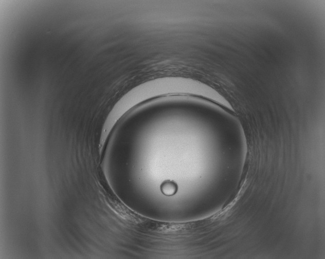 X0000058130186200509261310