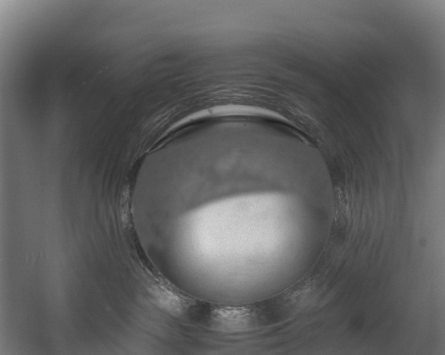 X0000058130189200509261310