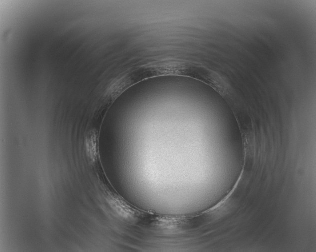 X0000058130190200509261310