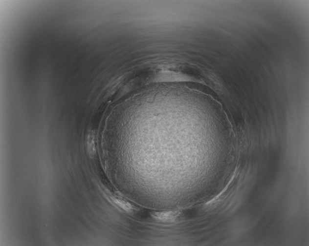 X0000058130191200509261310