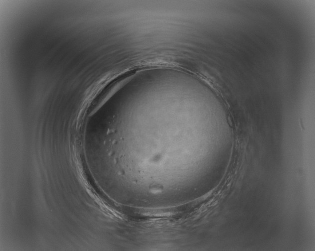 X0000058130193200509261309