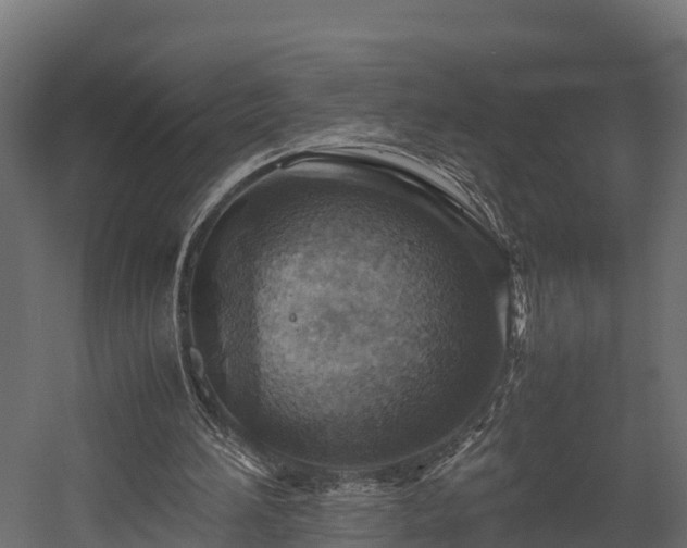 X0000058130196200509261309