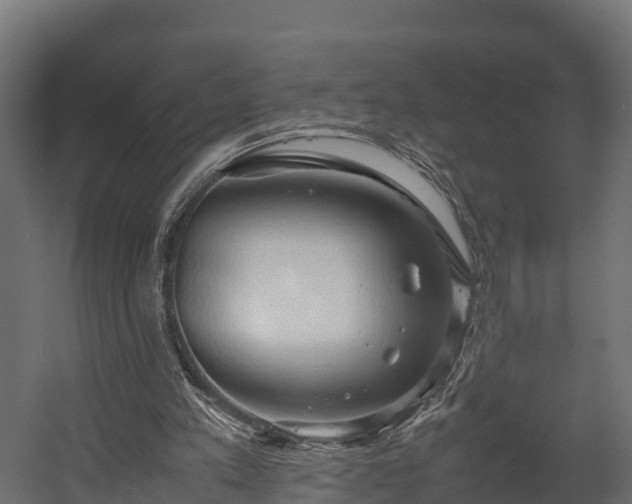 X0000058130197200509261309