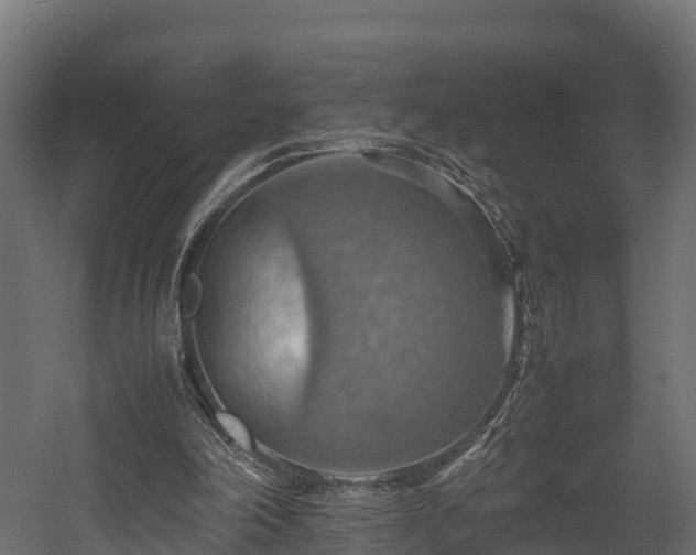 X0000058130198200509261309