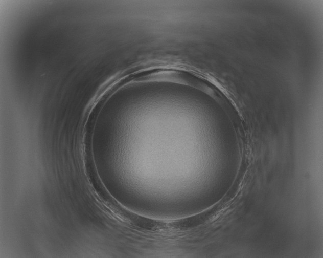 X0000058130199200509261309