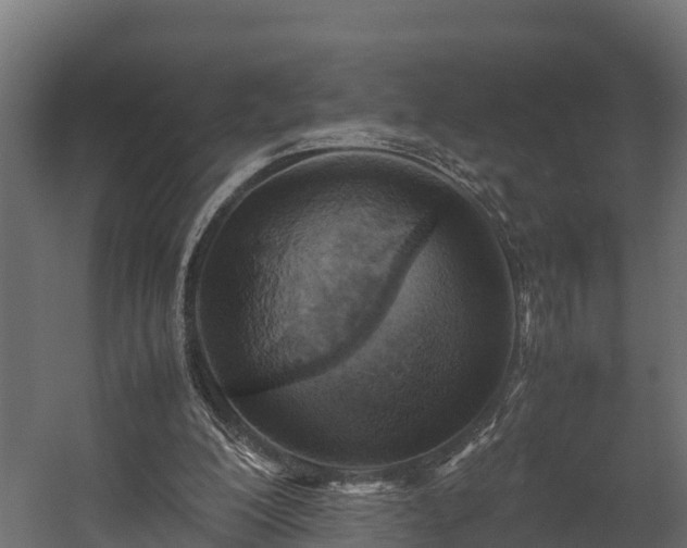 X0000058130200200509261309